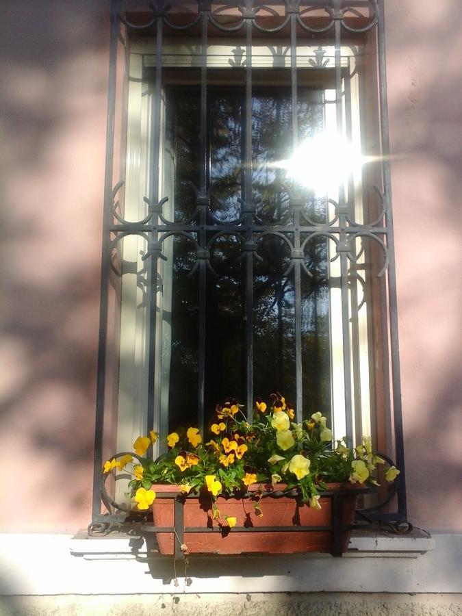 Ca Morari Bed & Breakfast Argenta Екстериор снимка