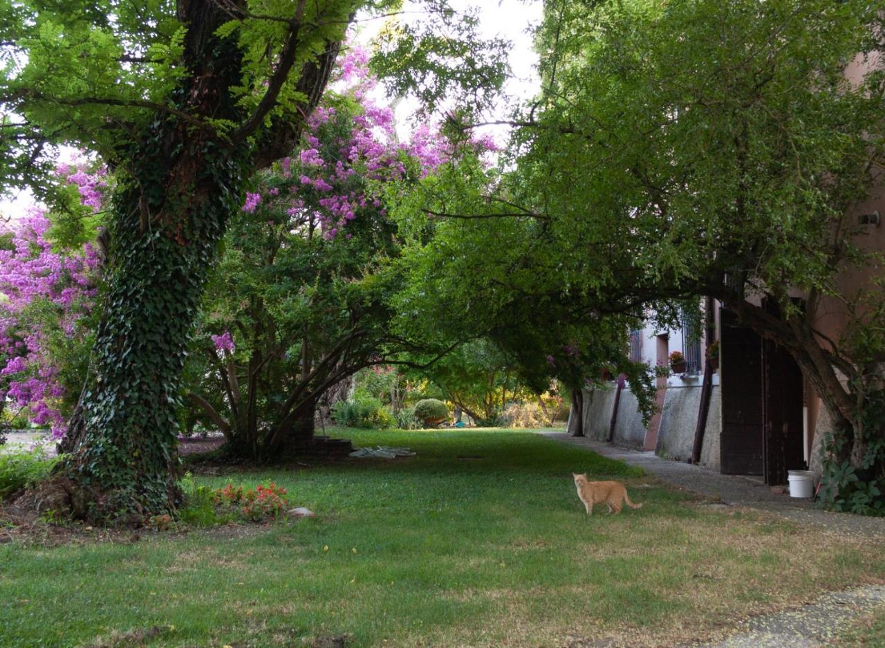 Ca Morari Bed & Breakfast Argenta Екстериор снимка