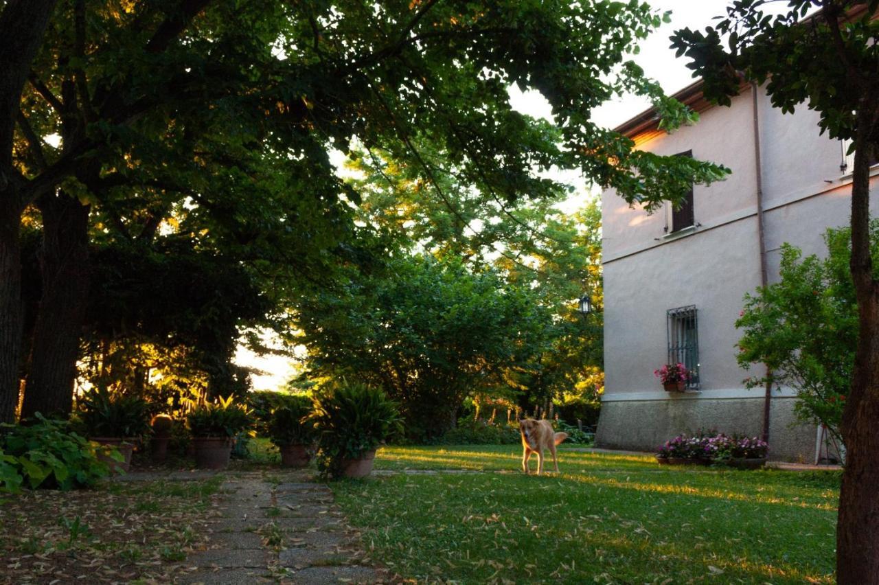 Ca Morari Bed & Breakfast Argenta Екстериор снимка